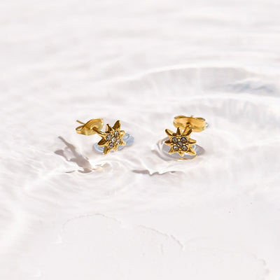 North Star Crystal Studs