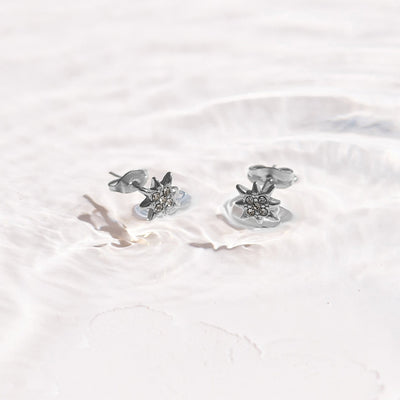 North Star Crystal Studs